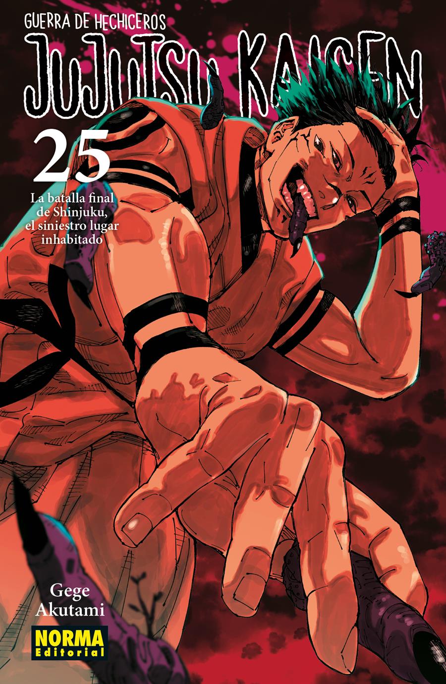 Jujutsu Kaisen 25 | N0924-NOR11 | Gege Akutami | Terra de Còmic - Tu tienda de cómics online especializada en cómics, manga y merchandising